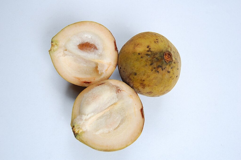 Buah kecapi