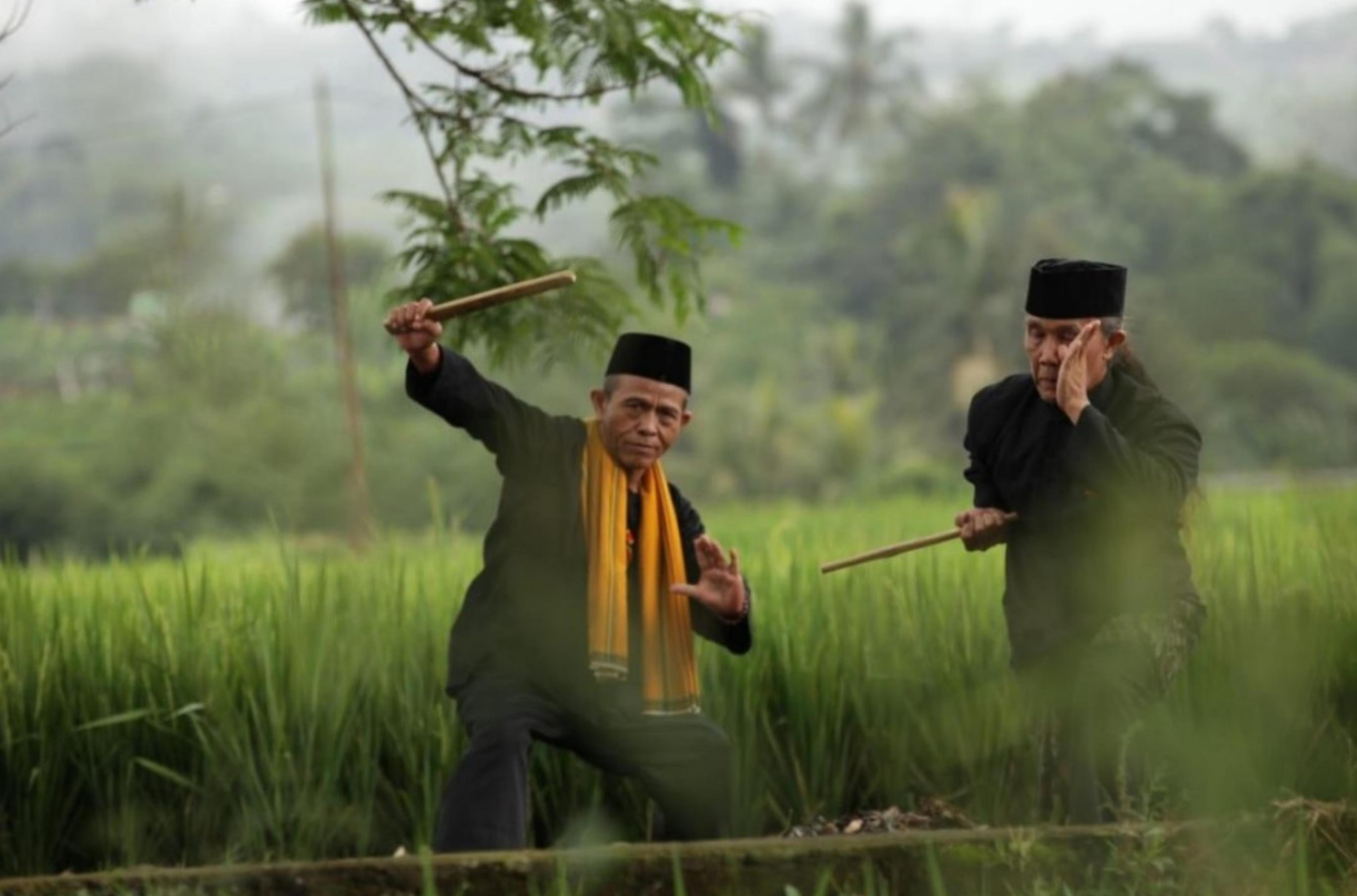 Seni bela diri Penca Cimande warisan Desa Wisata Cimande