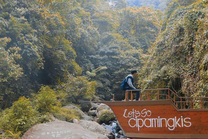 Wisata Hutan Pinus Cipamingkis, Megamendung, Bogor, Jawa Barat.