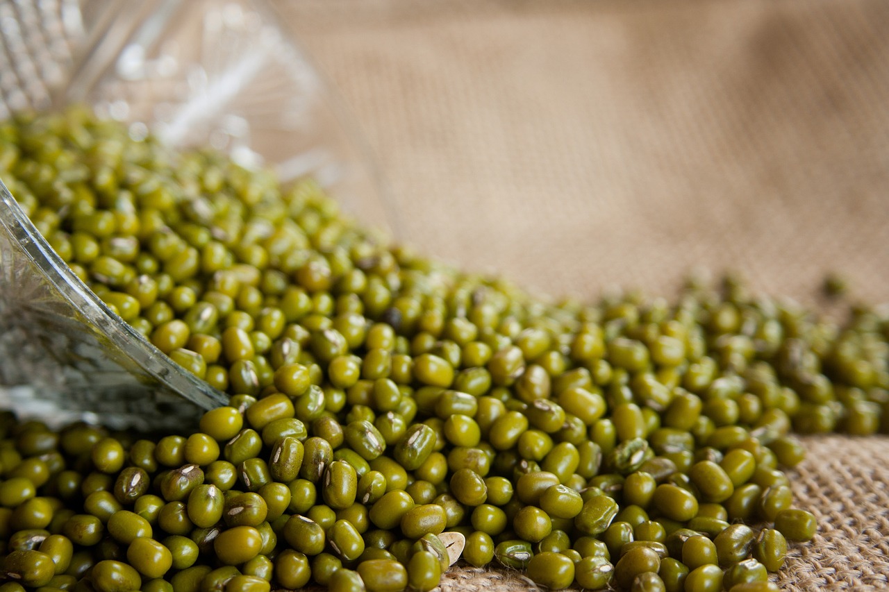 Kacang hijau.
