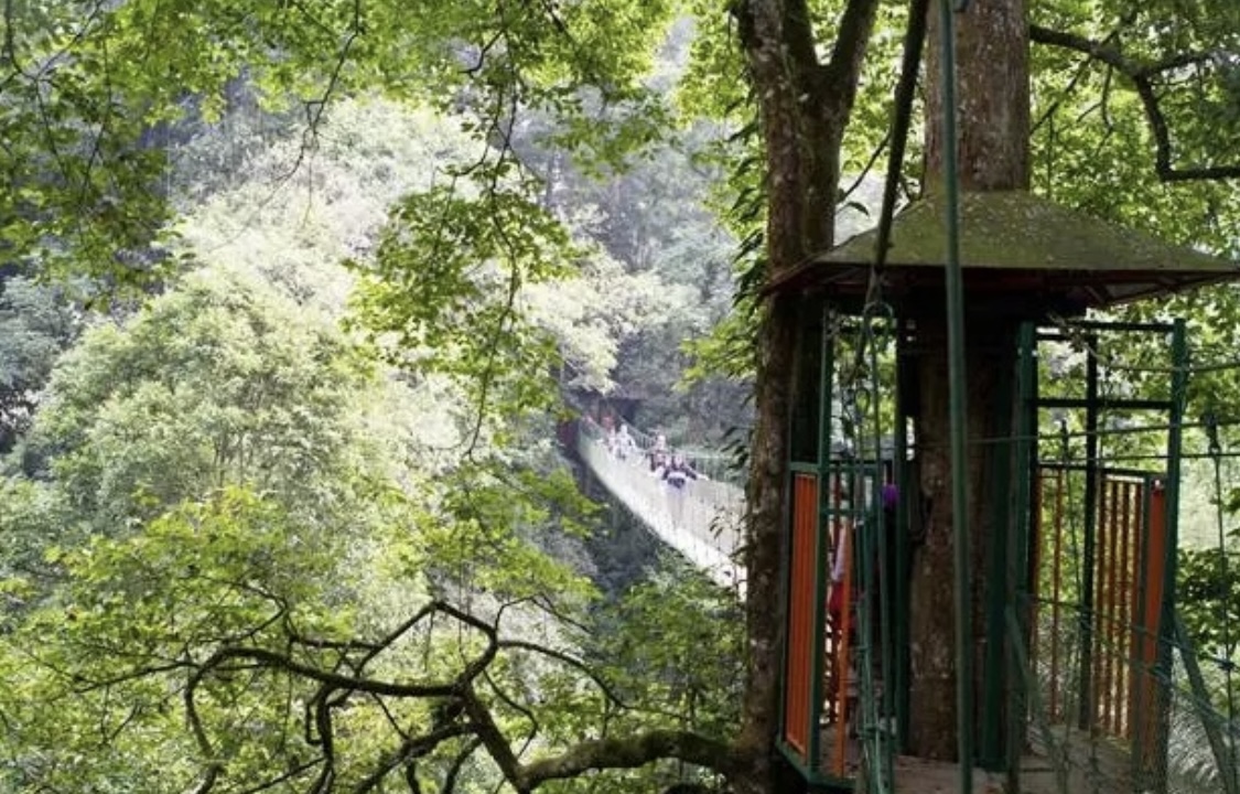 Canopy Trail Ciwalen