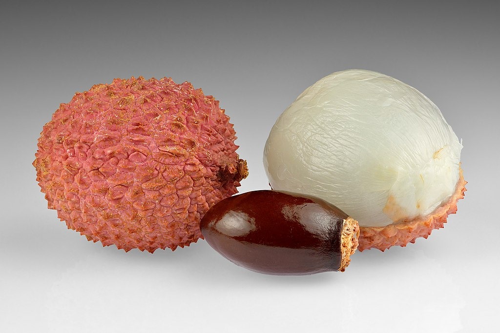 Buah leci