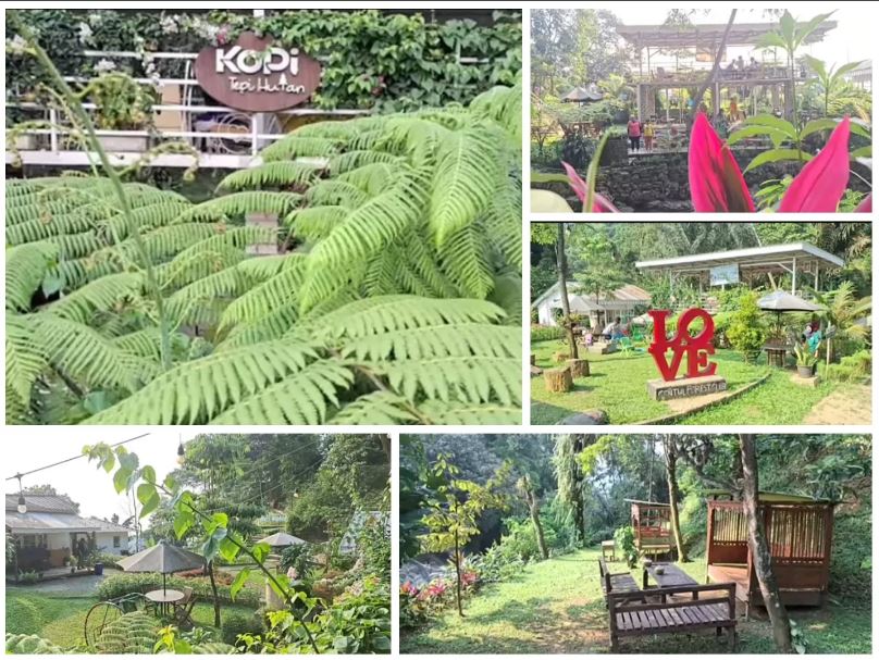 Kopi Tepi Hutan, yang berlokasi di kawasan Sentul, Bogor.