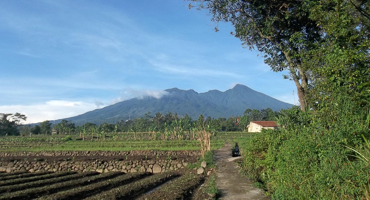 Gunung Salak
