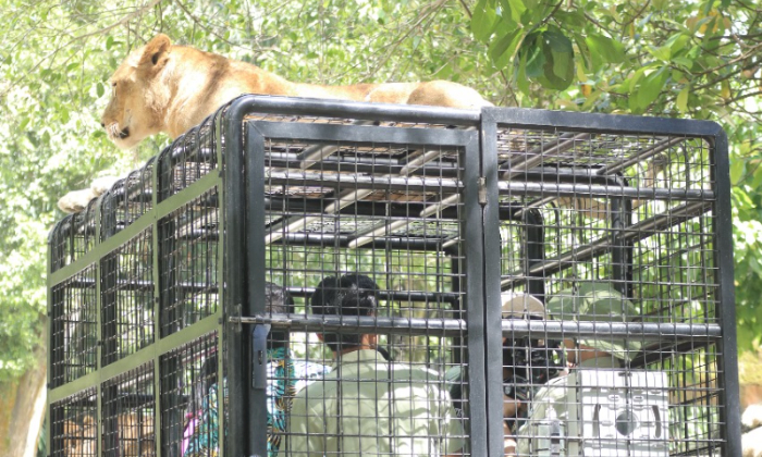 Taman Safari Bogor