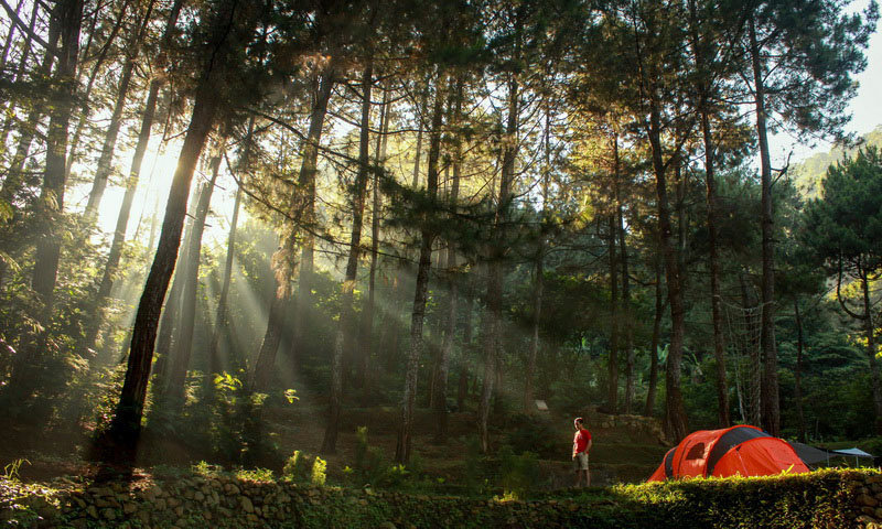 Highland Camp