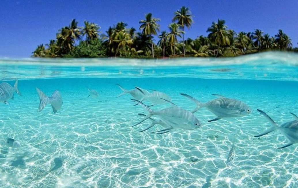 Tiga pantai  Tersembunyi di Pulau Morotai