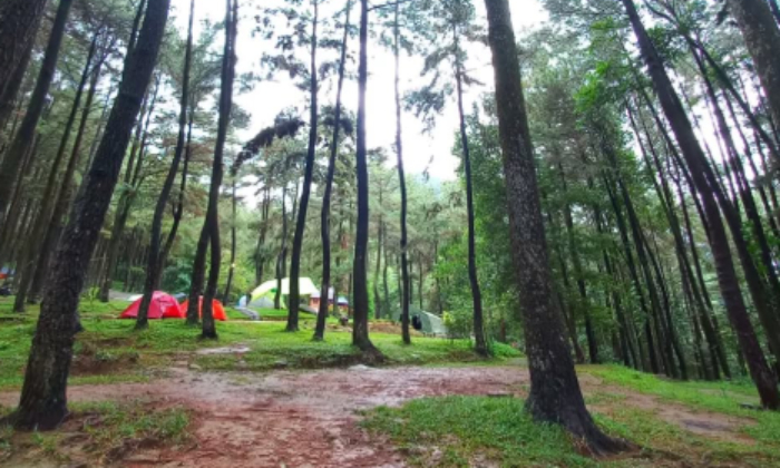 Destinasi wisata Gunung Pancar Bogor