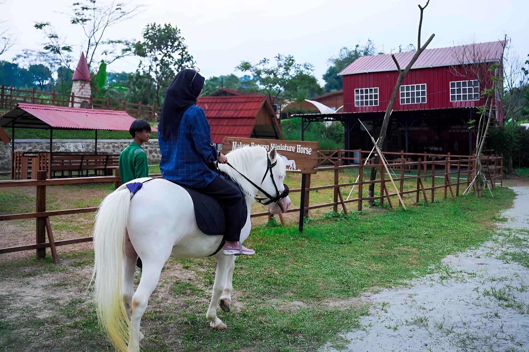 Seorang pengunjung yang naik kuda poni di Wisata Bukit Domba