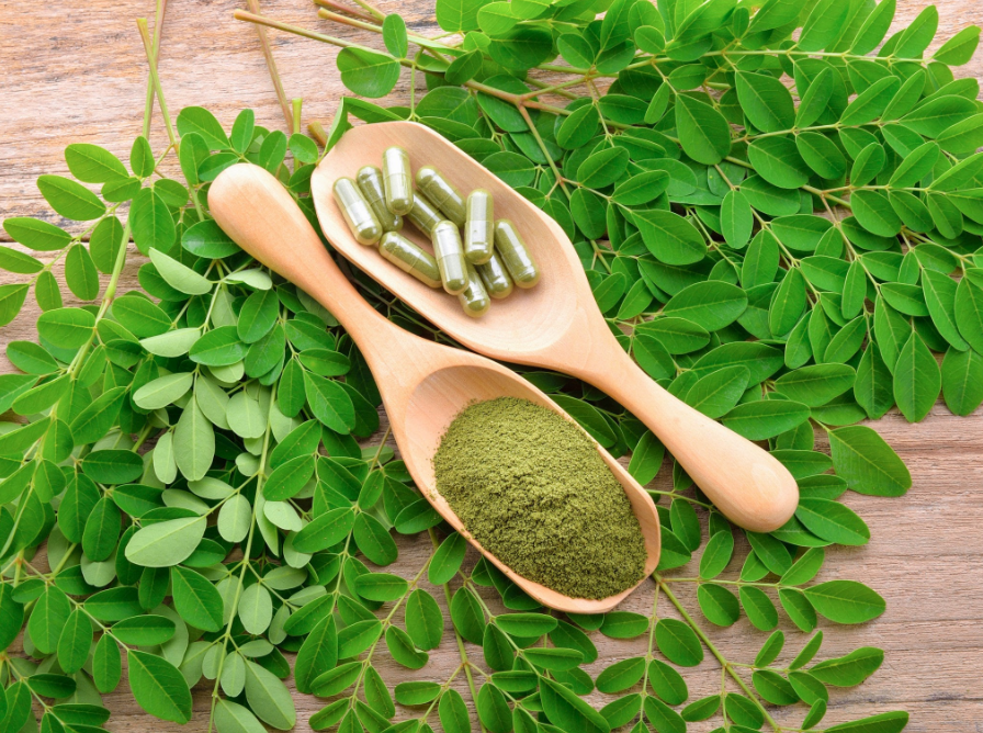Daun kelor
