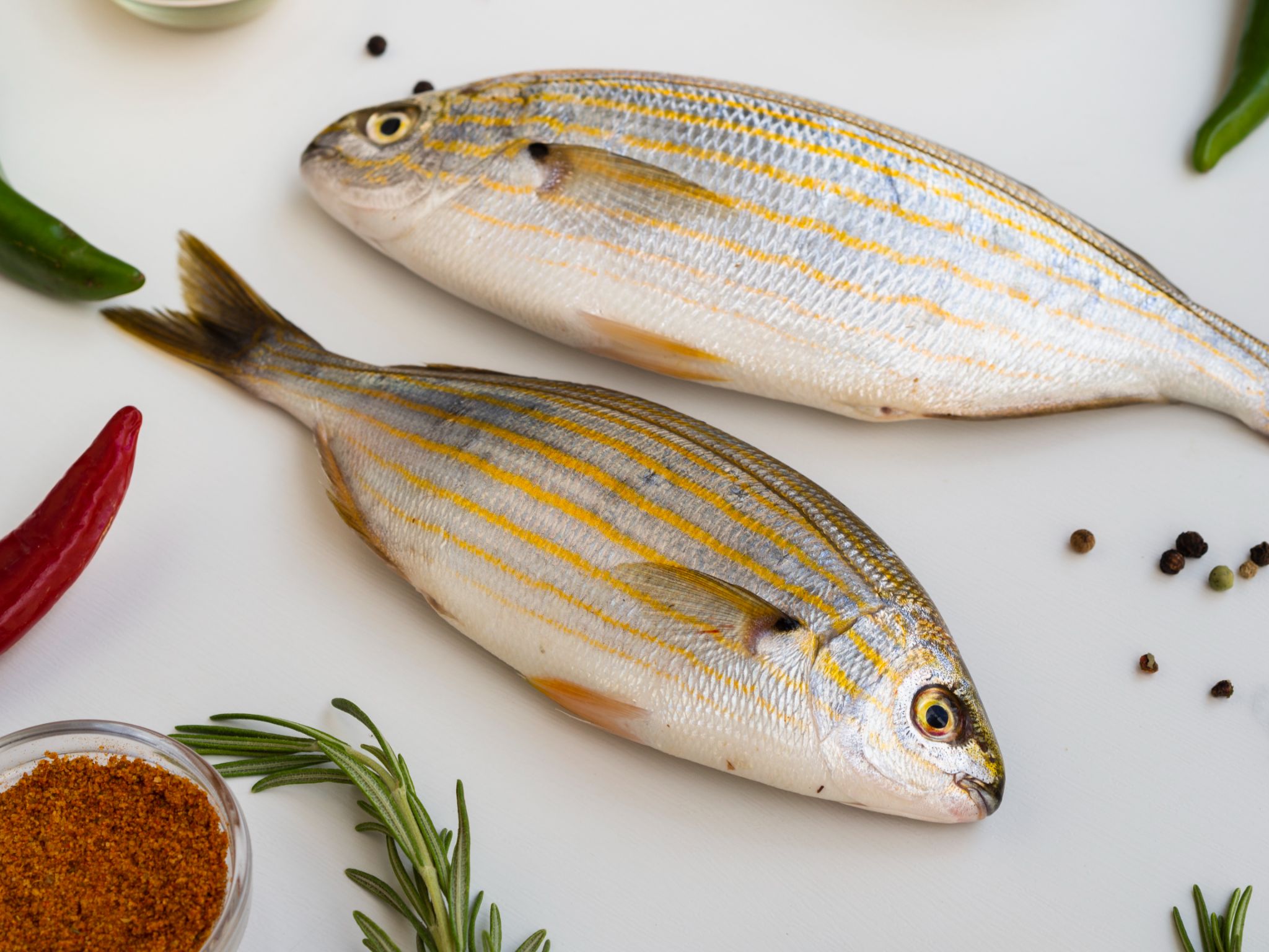 Ilustrasi ikan gindara