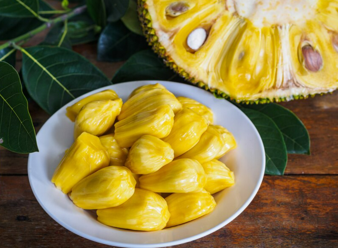 Ilustrasi manfaat biji nangka
