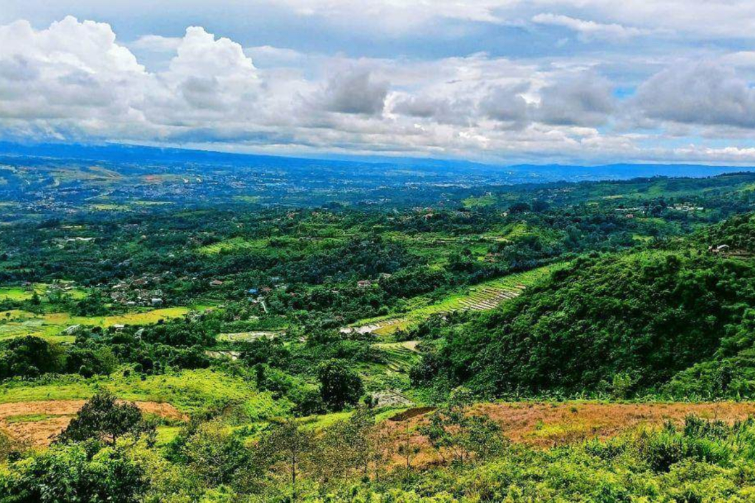 Pemandangan dari Bukit Alesano Bogor. (Instagram @bukit_alesano)