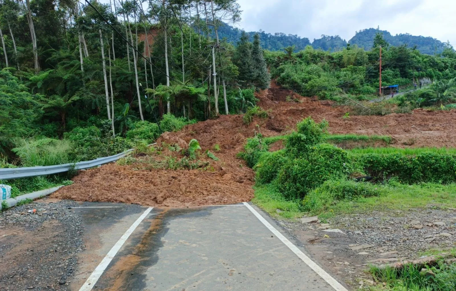Longsor di tanjakan 2000 Jalur Puncak Dua Sukamakmur Bogor. (Radar Bogor)