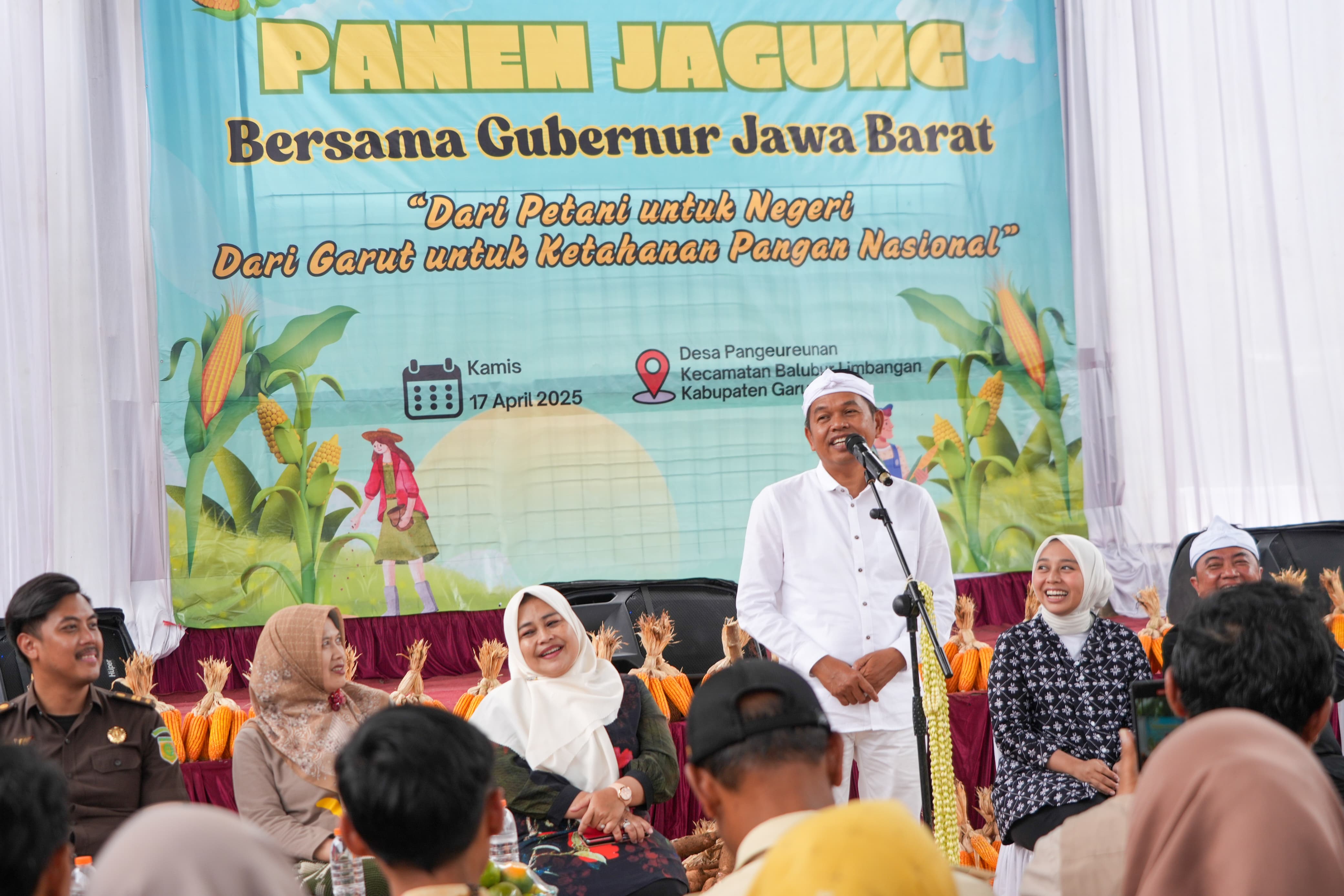 Gubernur Jawa Barat Dedi Mulyadi  menghadiri kegiatan Panen Jagung di Desa Pangeureunan, Kabupaten Garut, Kamis (17/4/2025). (Dok.Tim Media KDM)