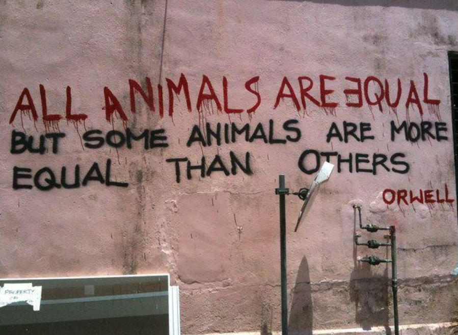 Salah satu kutipan di novel Animal Farm (Dok. Pinterest)