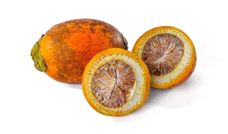Buah pinang (Dok. Hellosehat)