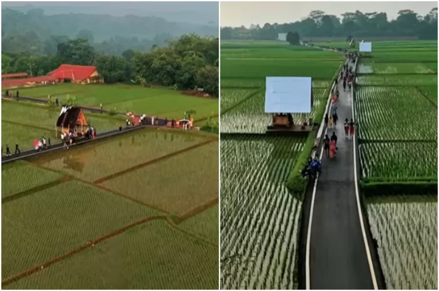 Suasana di Lembur Pakuan, sekitar kediaman pribadi Gubernur Jawa Barat Dedi Mulyadi di Kabupaten Subang. (Instagram @dedimulyadi71)