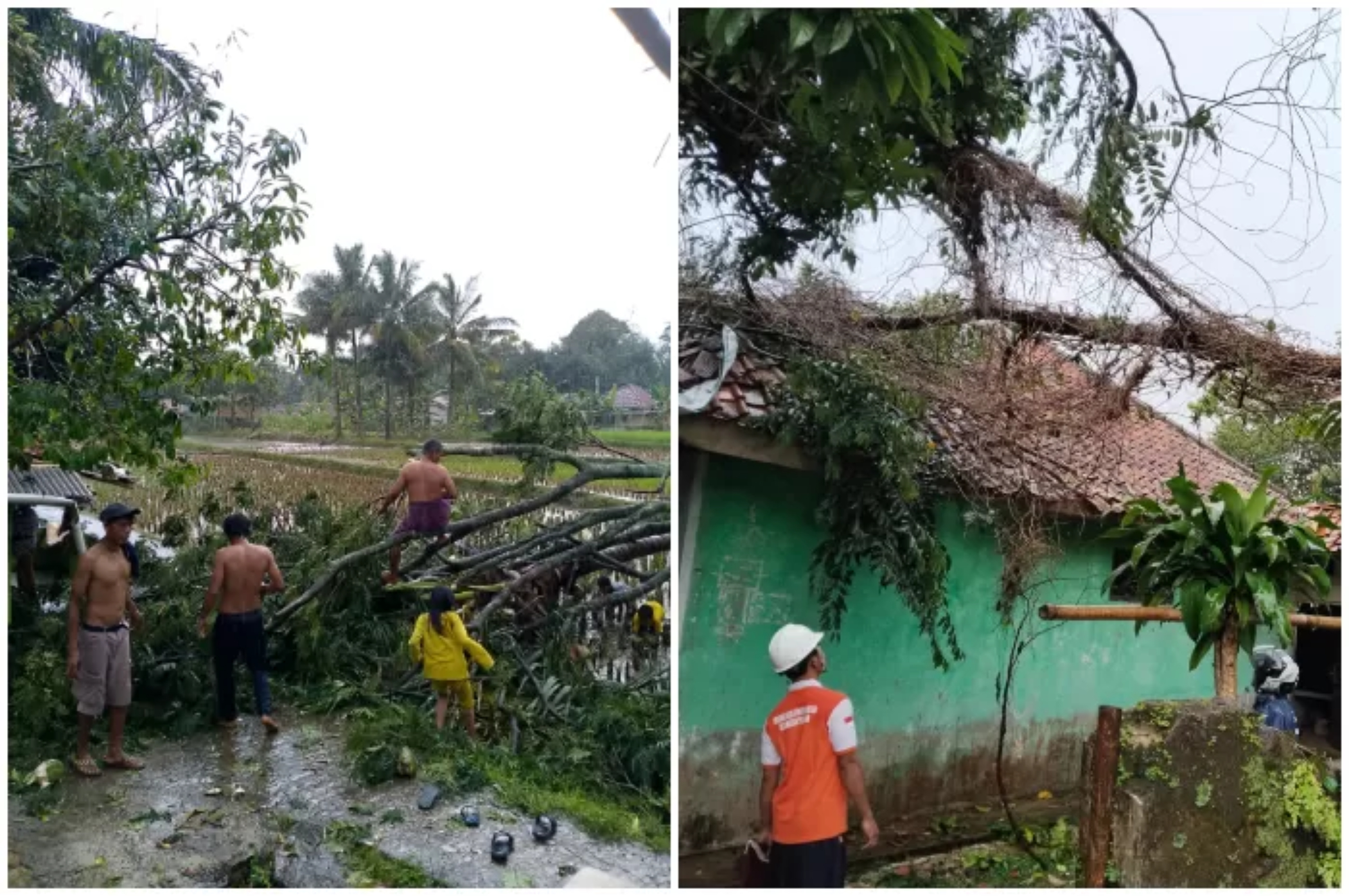 Rumah warga di Desa Cibitung Wetan, Pamijahan yang rusak akibat tertimpa pohon akibat angin kencang. (Kades Cibitung Wetan)