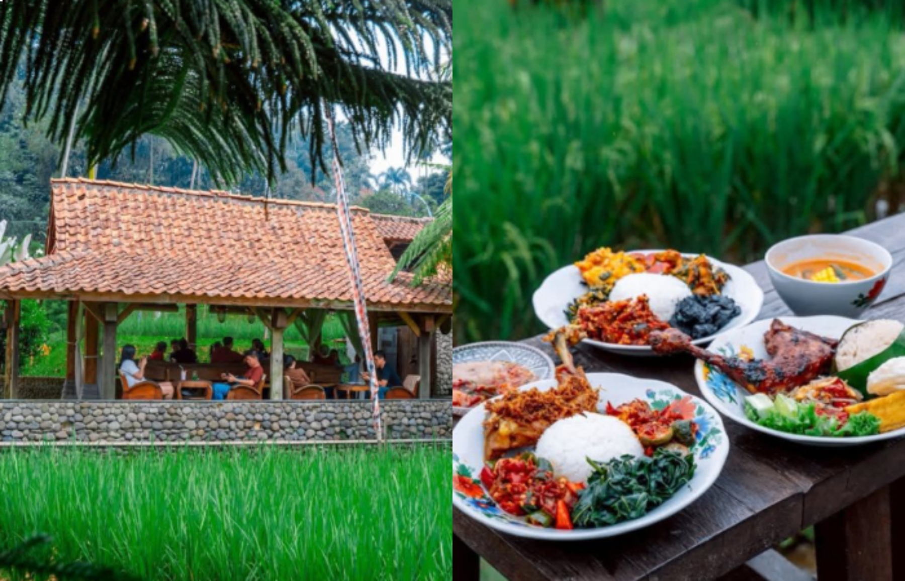 Suasana makan di kafe Ngopi di Sawah, Kabupaten Bogor, dikelilingi hamparan sawah menghijau. (Instagram @ngopidi.sawah)