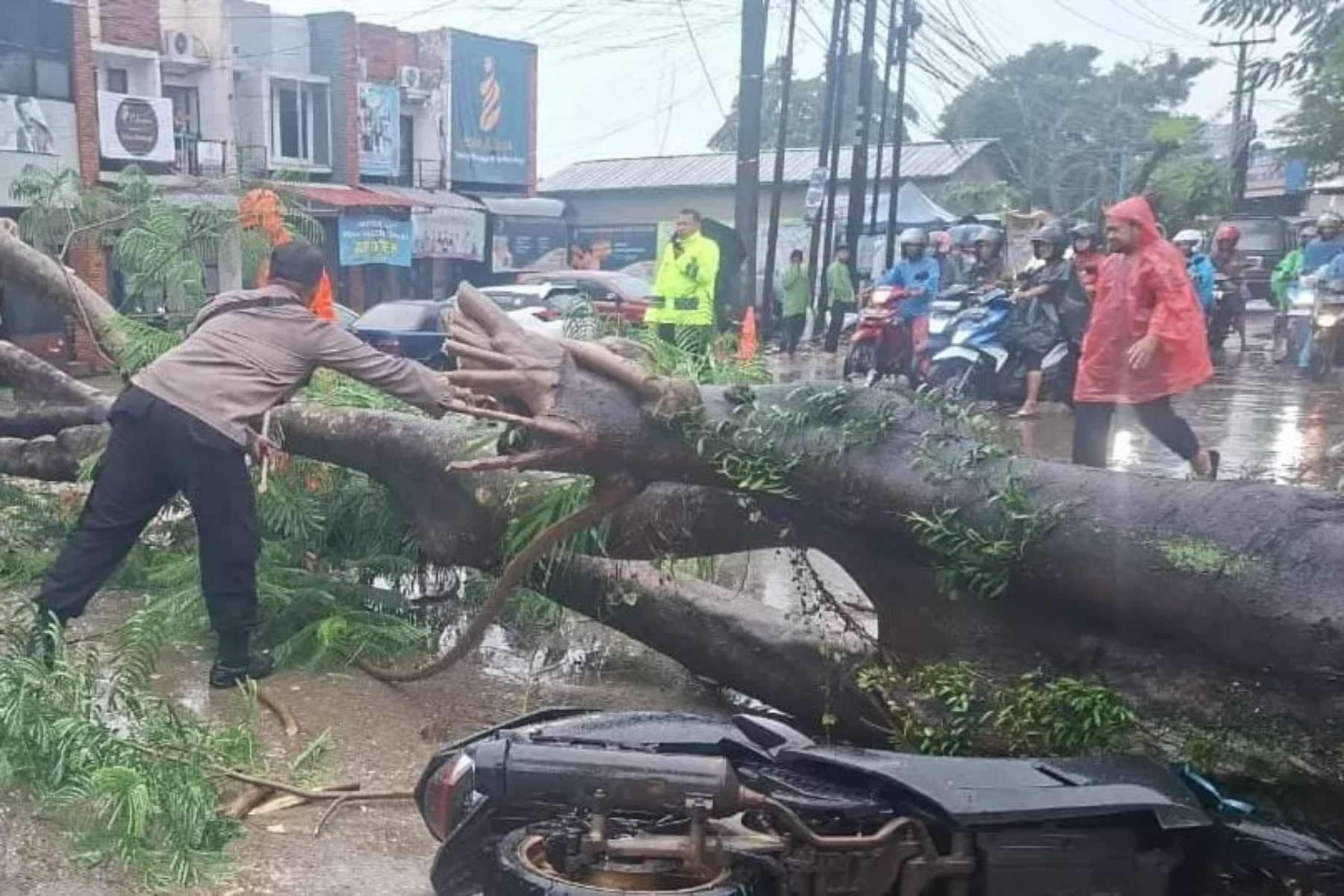 &nbsp;Pohon tumbang menimpa satu unit sepeda motor di Kelurahan Karadenan, Kecamatan Cibinong, Kabupaten Bogor. (BPBD Kabupaten Bogor)