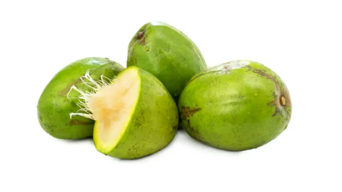 Ilustrasi manfaat kedondong (Freepik) 