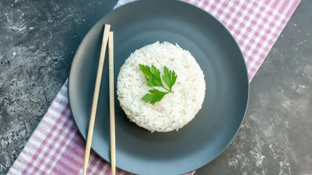 Ilustrasi nasi (Magnific)
