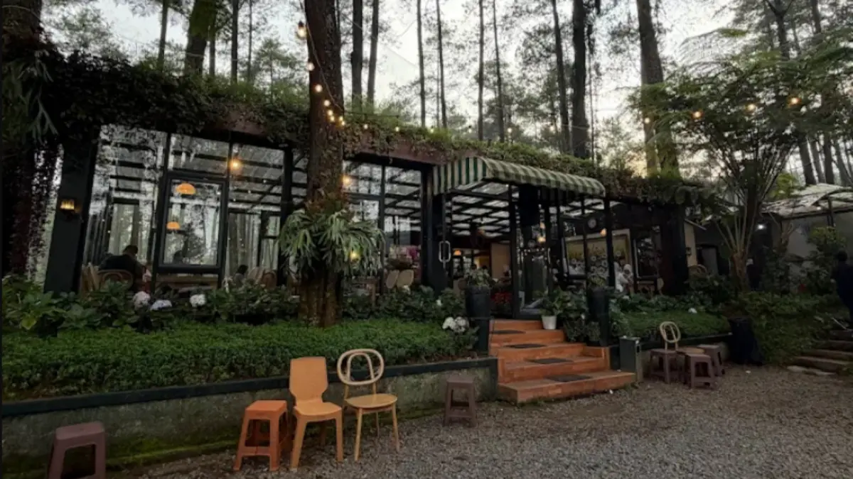 Kafe estetik di hutan pinus Bandung (Google Maps/Lapinea Cafe & Resto)