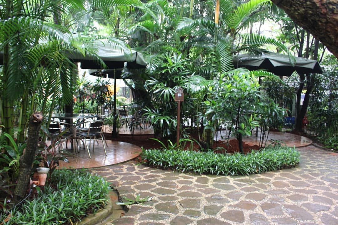 Taman Santap Rumah Kayu Serpong (Dok. Instagram @rumahkayu.serpong )