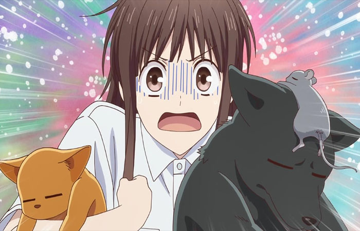Tohru Honda memegang anggota keluarga Sohma yang berubah menjadi hewan dalam shio di Fruits Basket. (Dok. IMDb)