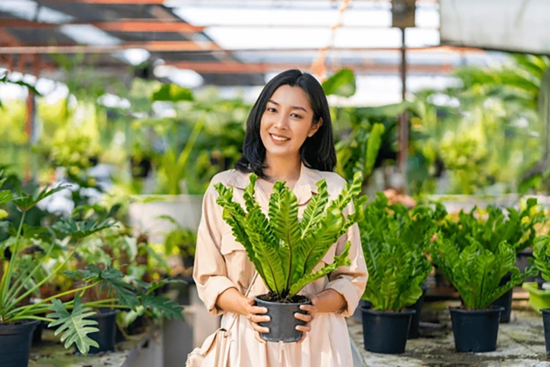 Ilustrasi seorang perempuan membawa tanaman hiasnya. (Dok. Shutterstock)