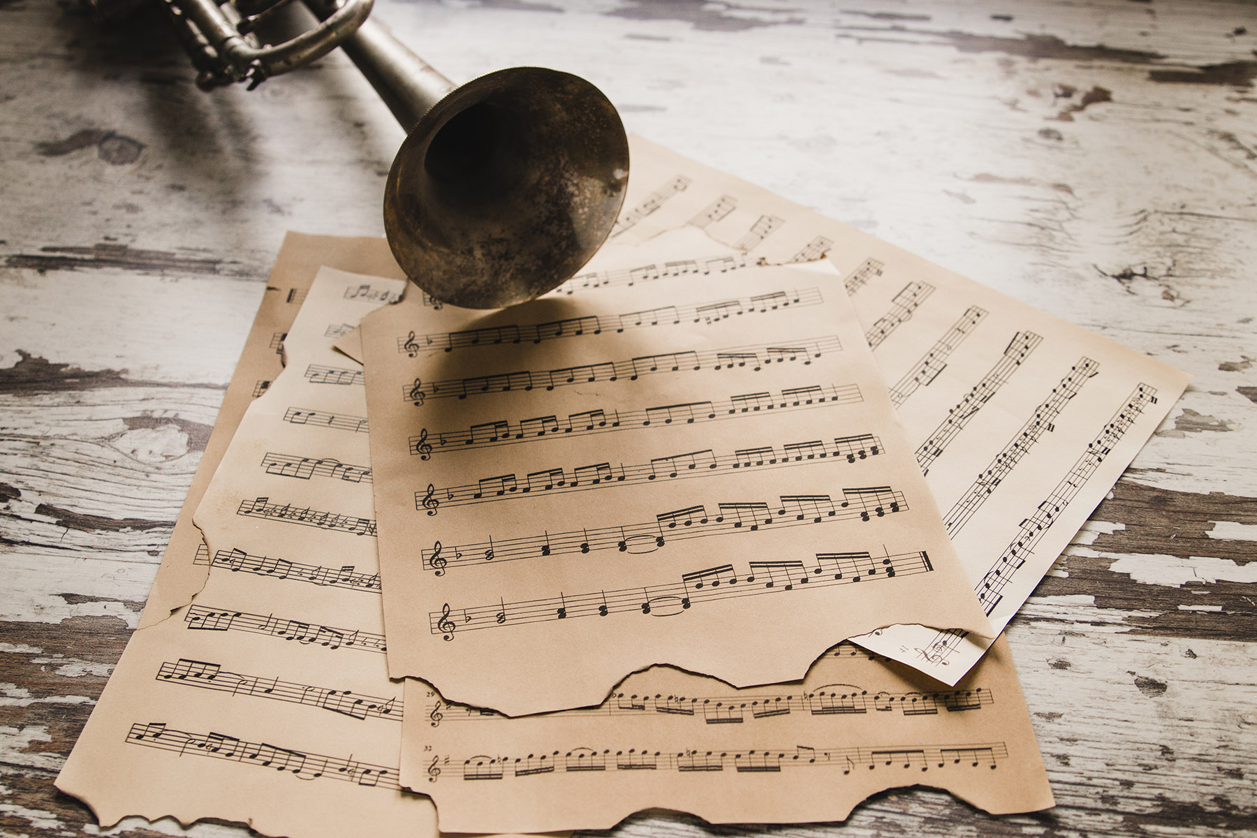Ilustrasi sheet of music. (Dok. Freepik)