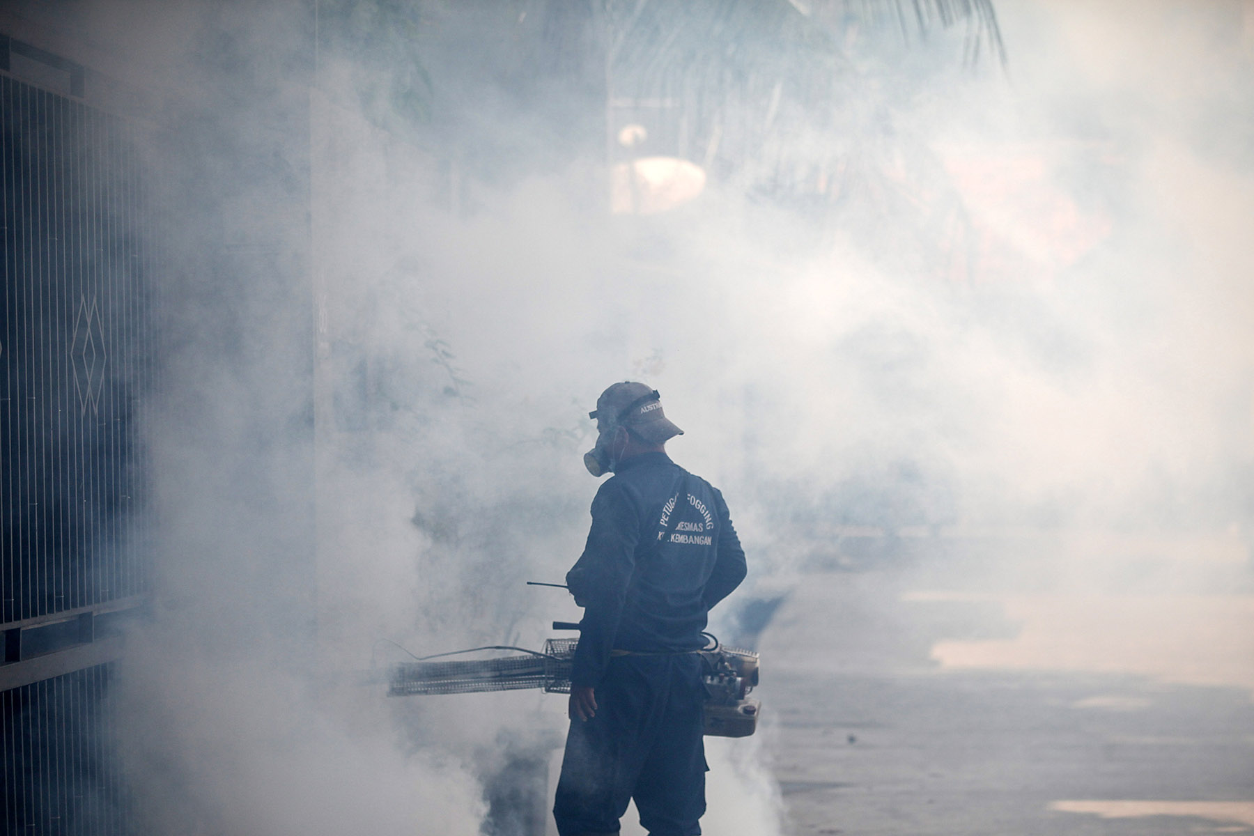 Petugas melakukan pengasapan atau fogging untuk mencegah penyebaran demam berdarah dengue (DBD).