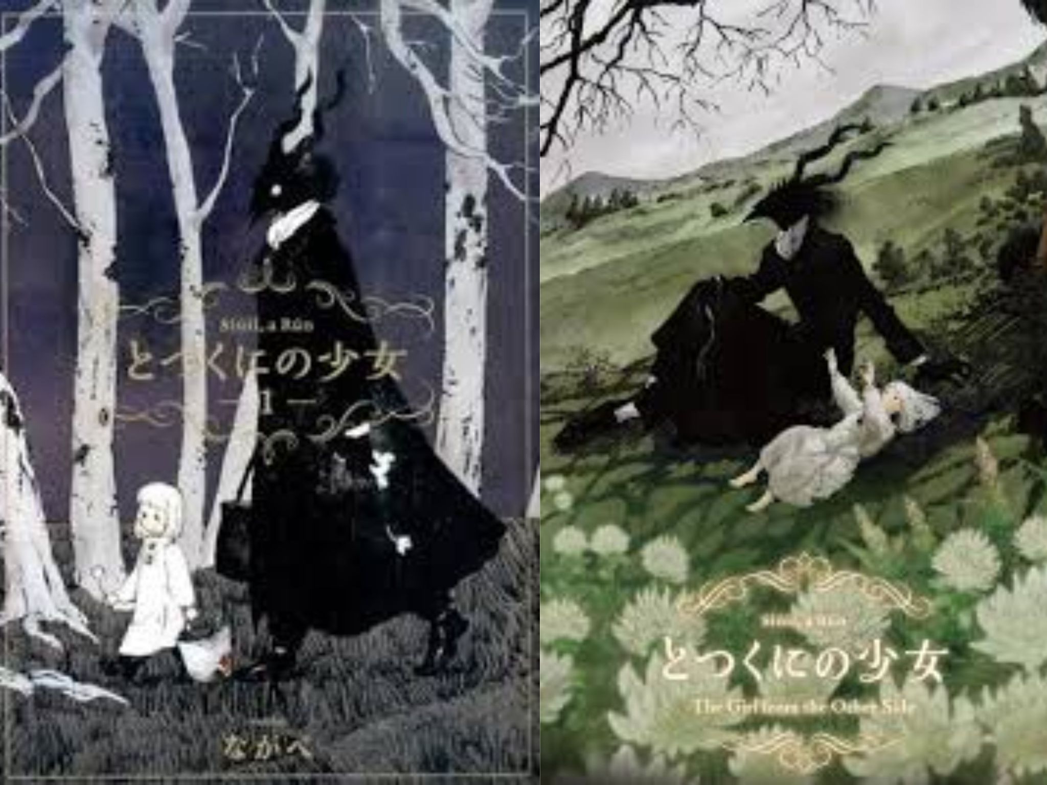 Cover versi manga dan film The Girl from the Other Side.