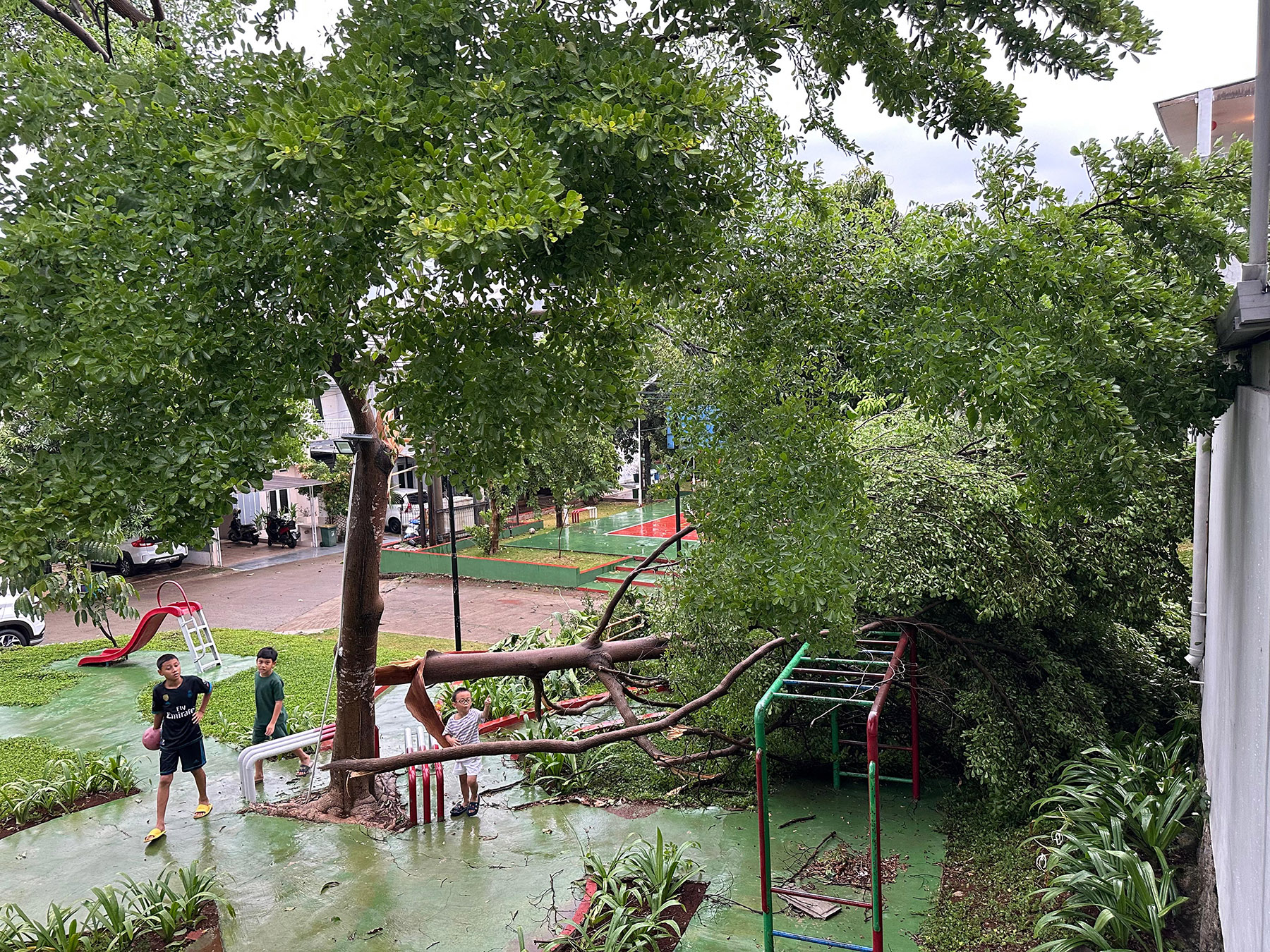 Pohon tumbang di fasum perumahan Permata Green Cinere, perbatasan Tangerang Selatan-Depok. (Dok. PGC)