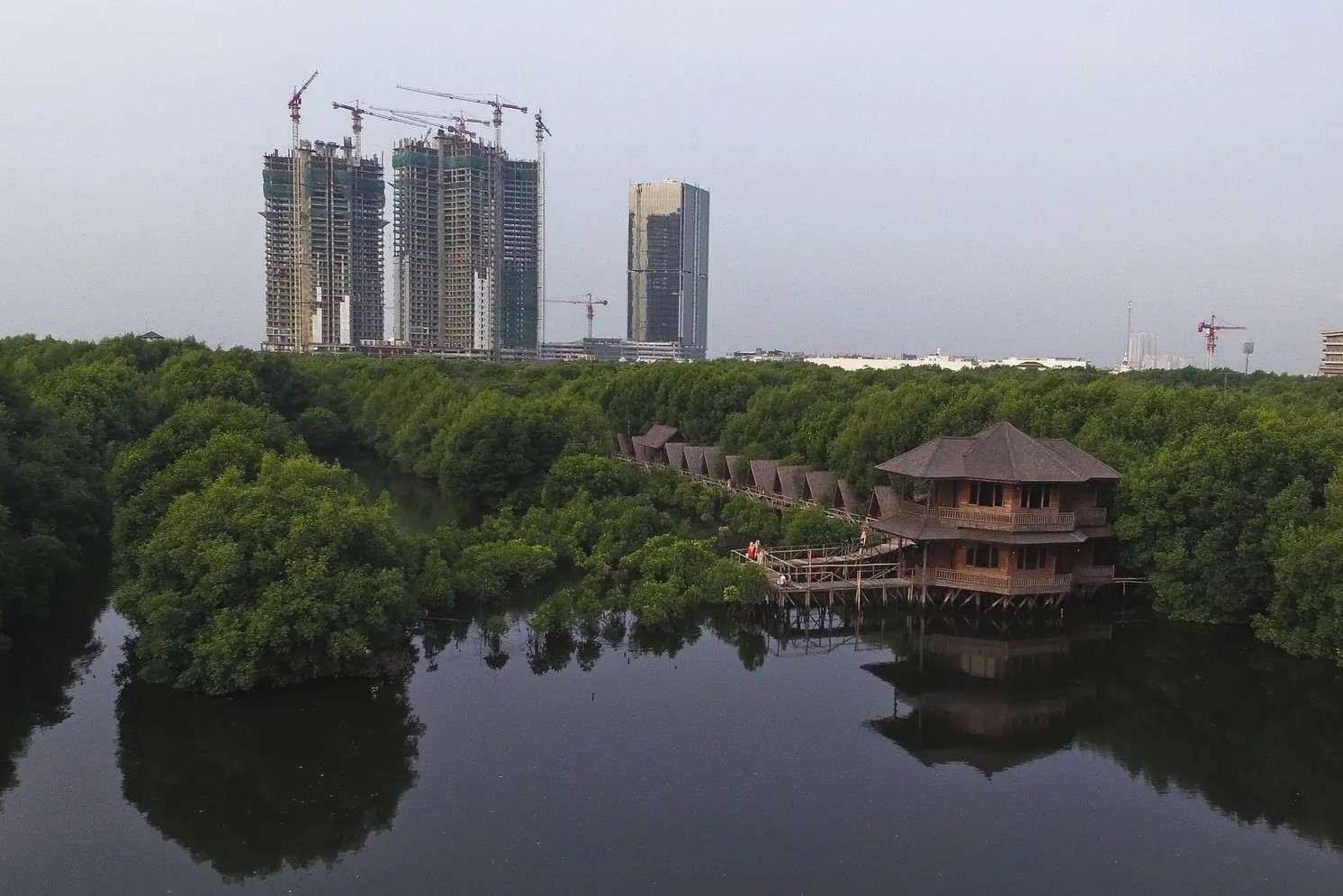 Hutan Mangrove Ekowisata Angke Kapuk