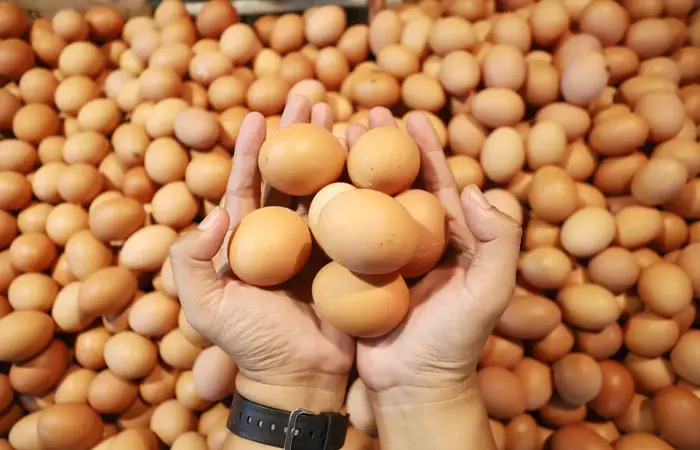Foto Telur