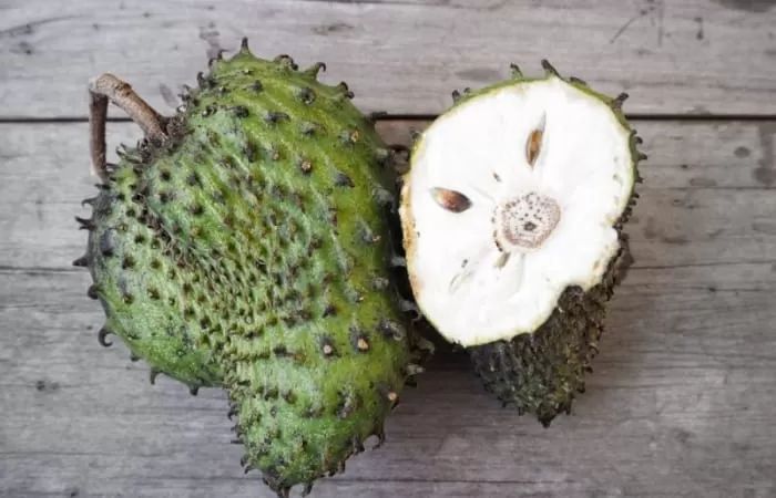 Ilustrasi buah sirsak