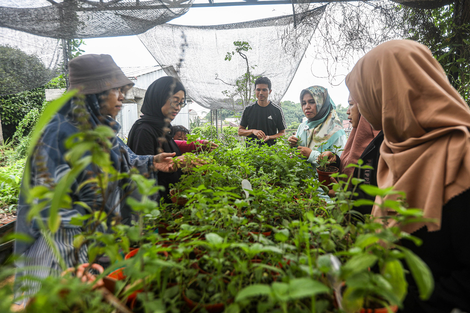 Bercocok Tanam dengan Teknik Permakultur. (Salman Toyibi/Jawa Pos)