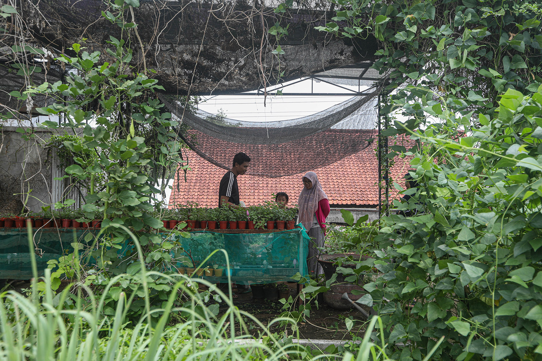 Bercocok Tanam dengan Teknik Permakultur. (Salman Toyibi/Jawa Pos)