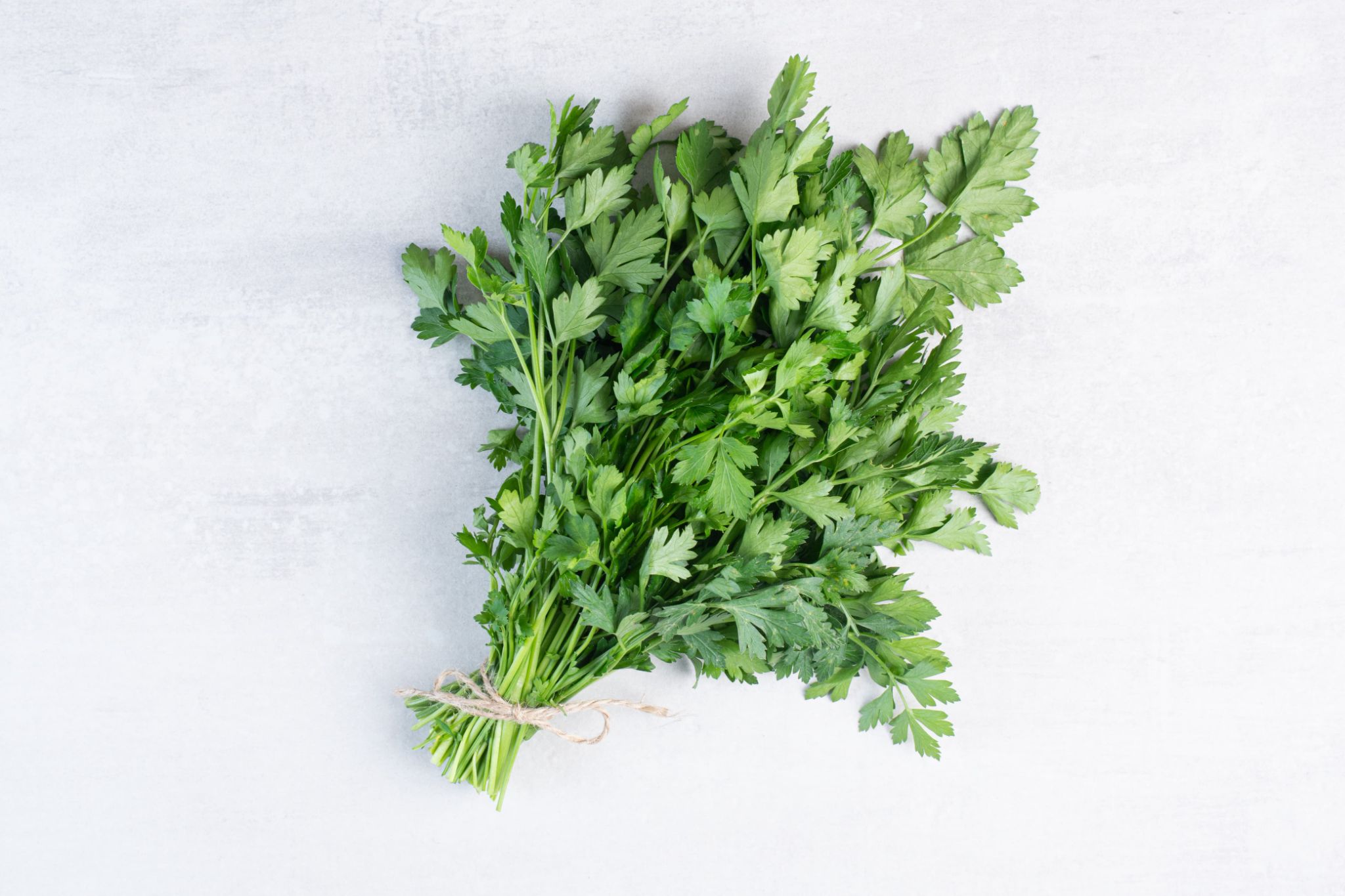 Daun ketumbar