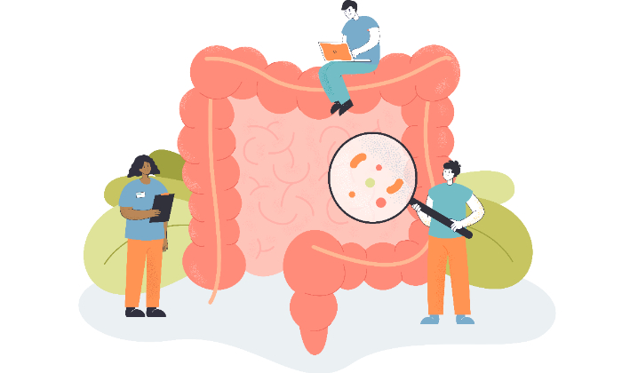 Ilustrasi usus kecil dan usus besar