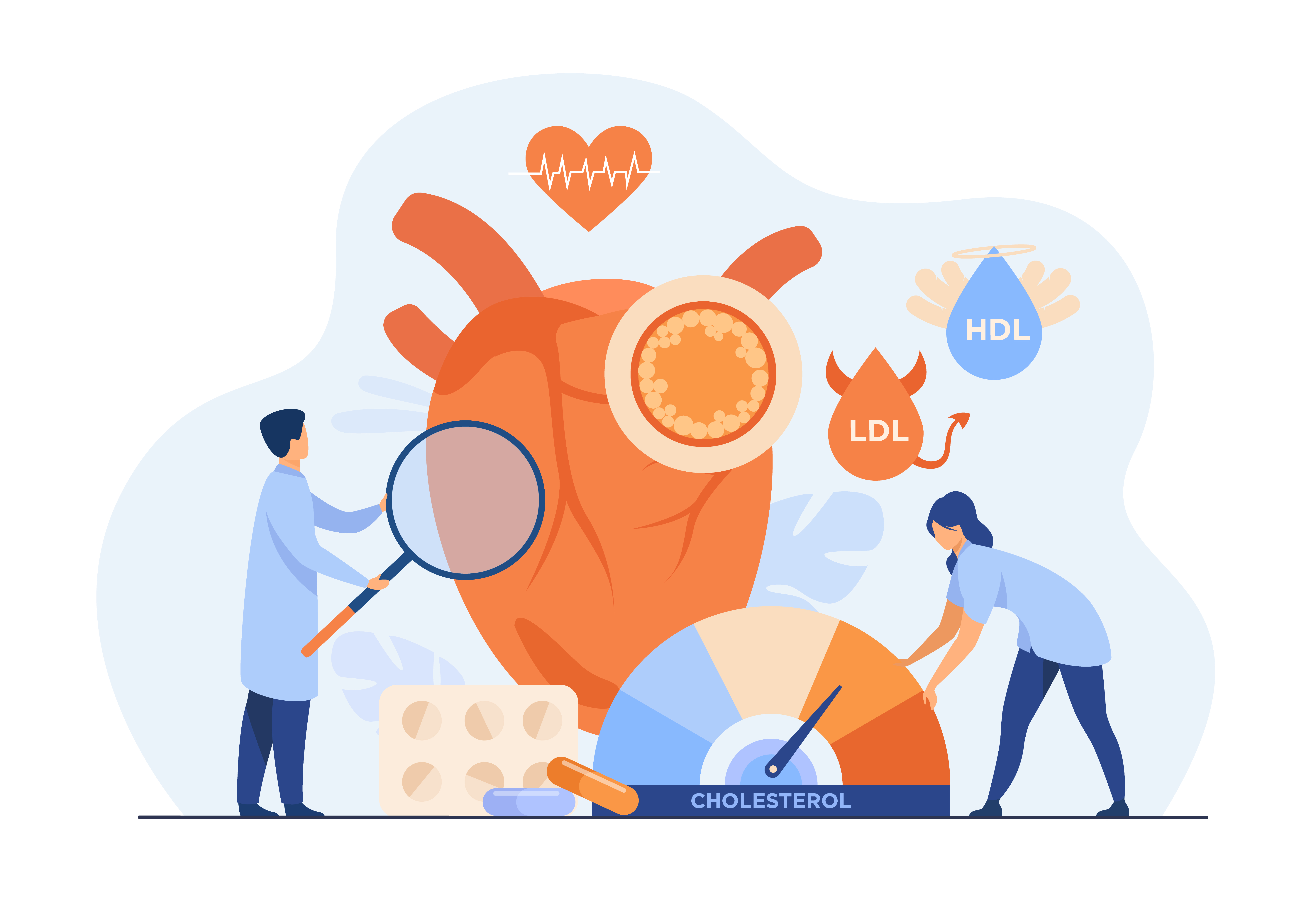 Ilustrasi organ jantung, organ yang dapat terserang penyakit akibat kadar kolesterol yang tinggi (Dok. Freepik/pch.vector)