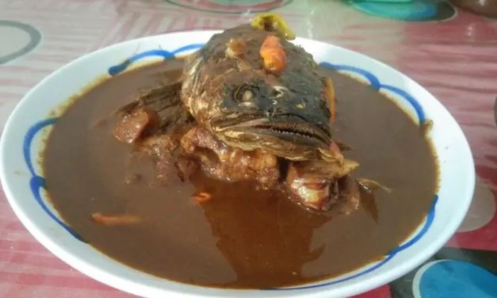 Gabus pucung