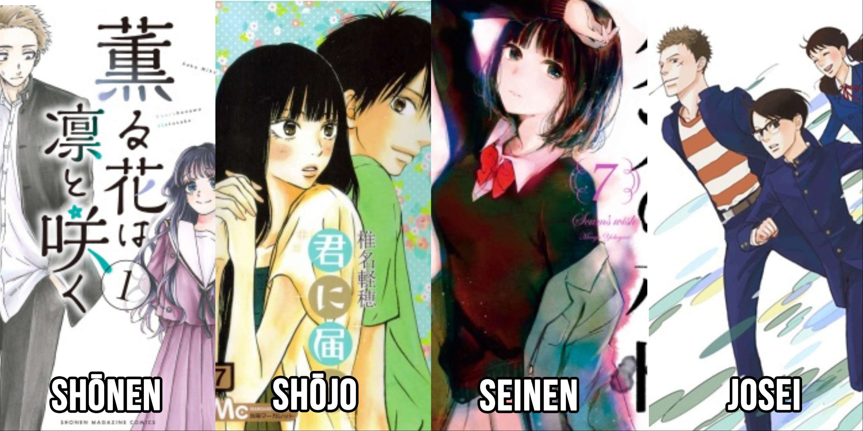 Setiap demografi manga menawarkan sebanyak mungkin genre yang bisa dipilih kepada pembaca dengan ciri khas masing-masing
