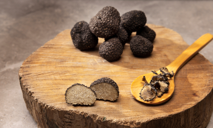 Ilustrasi jamur truffle hitam