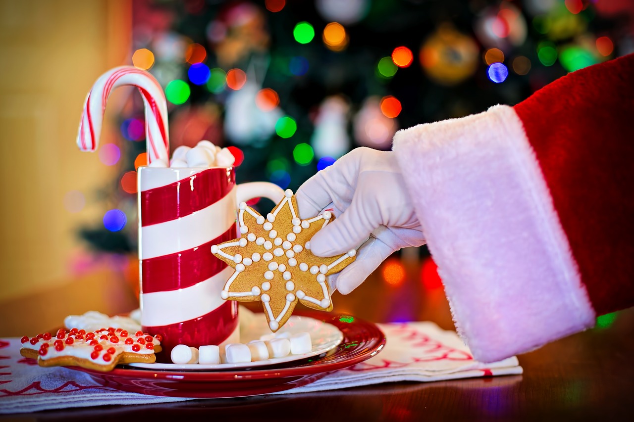 Ilustrasi sajian kue natal yang lezat (Dok. Pixabay/JillWellington).