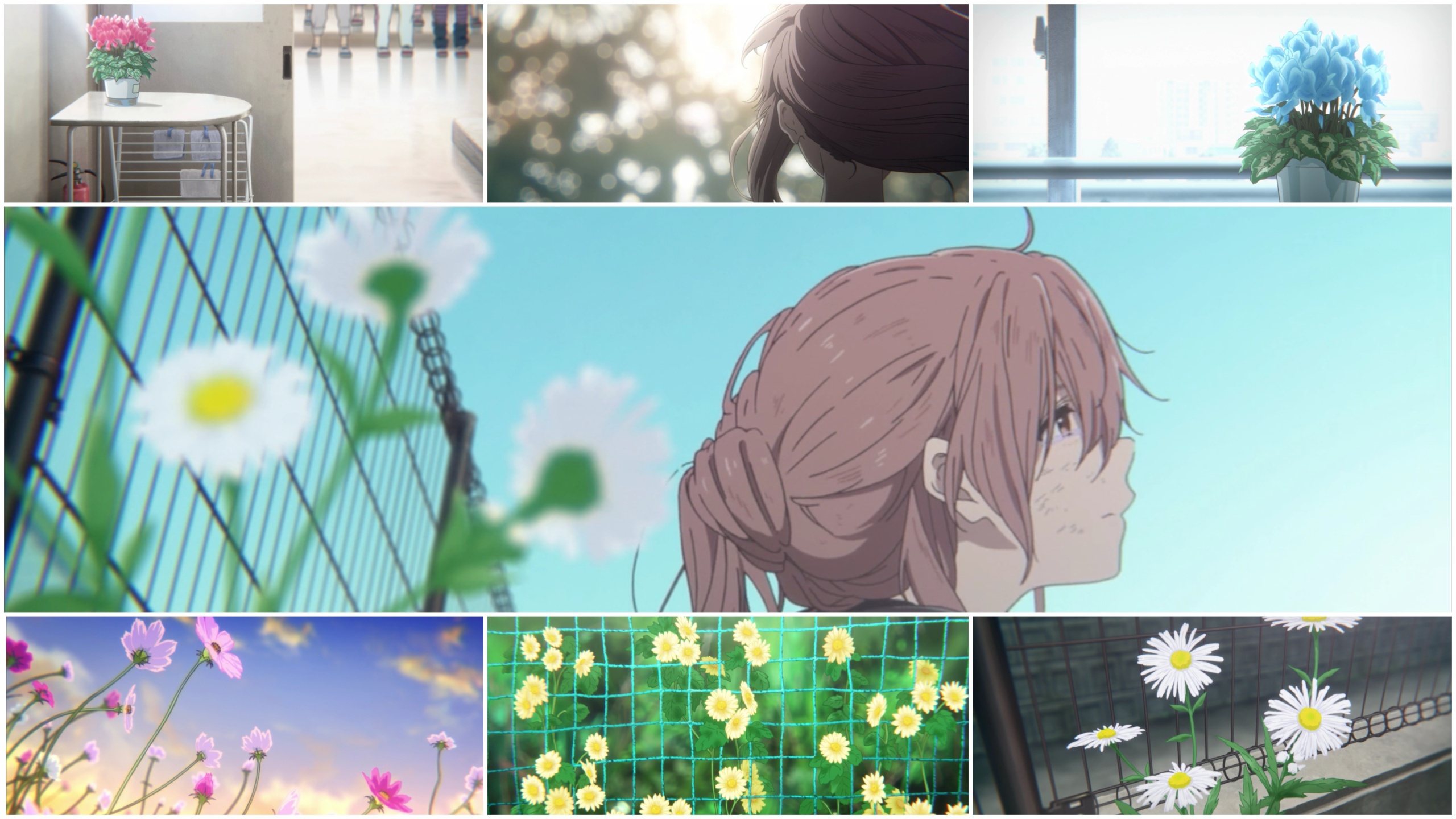 Hanakotoba dari bebungaan yang hadir dalam film Koe no Katachi. (Dok. IMDb)