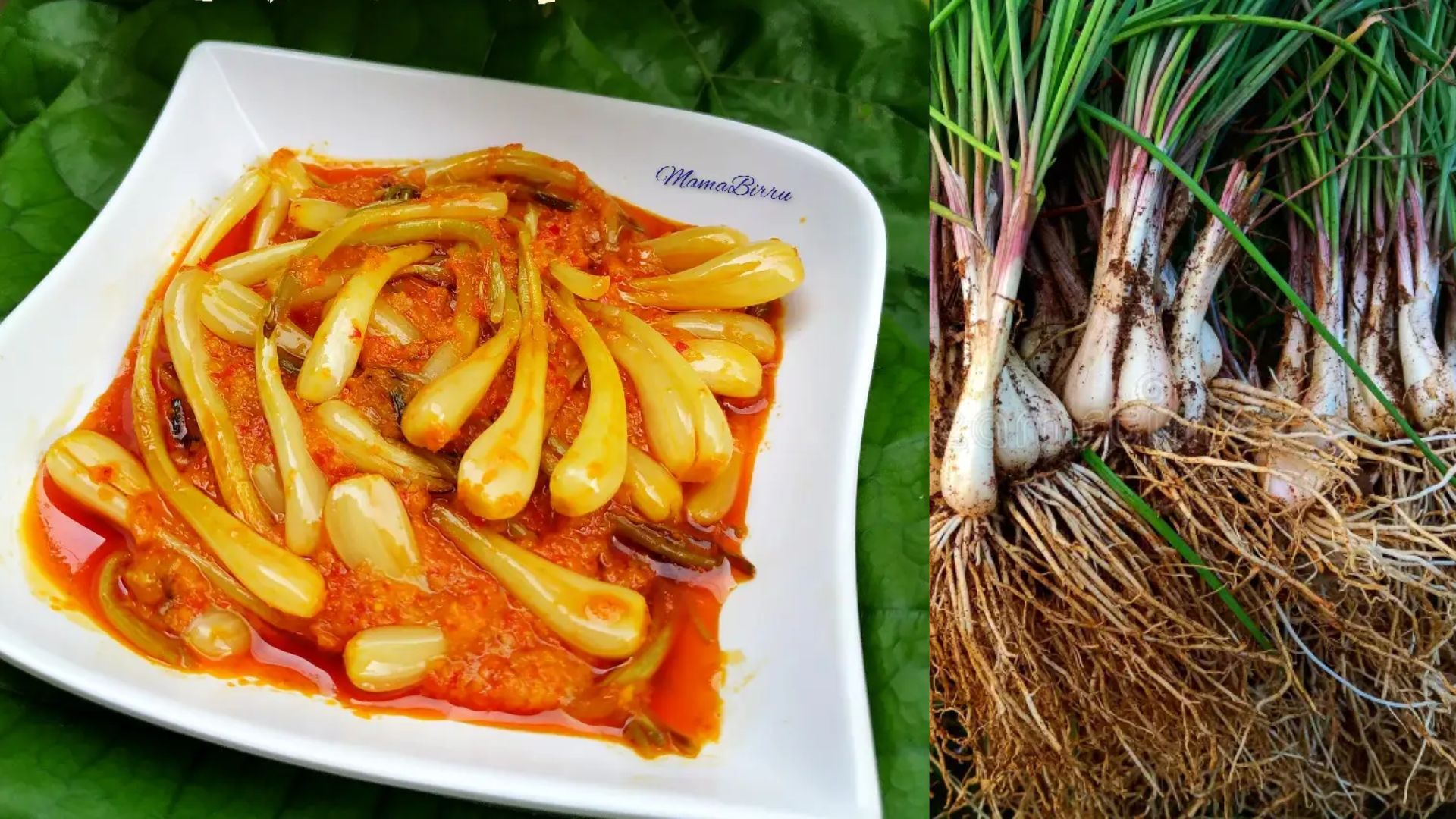 Hidangan lengkio pedas & lengkio mentah.