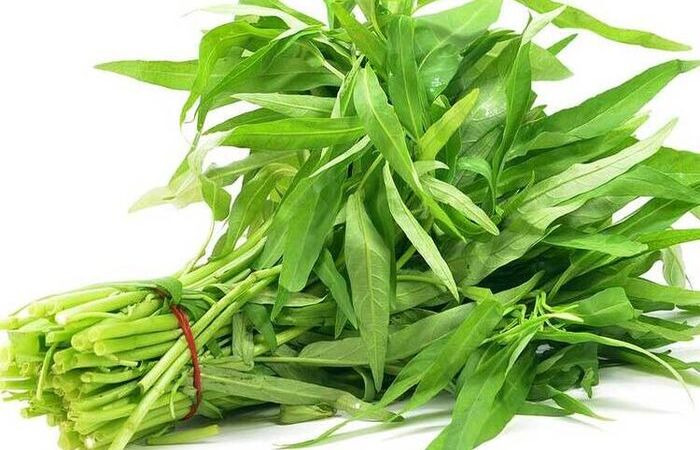 Ilustrasi kangkung